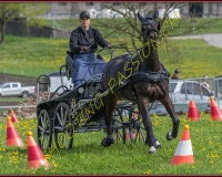 1POSIEUX 0463